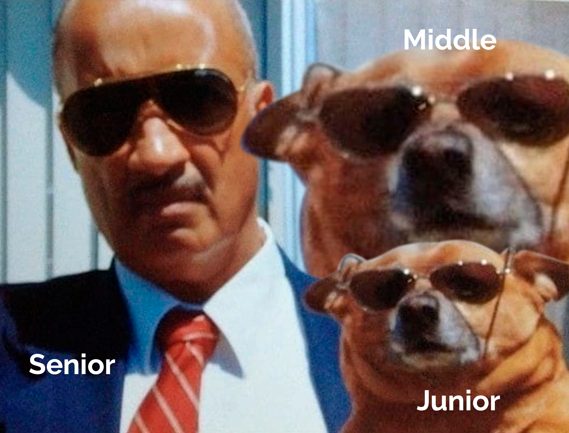 мем junior, middle, senior