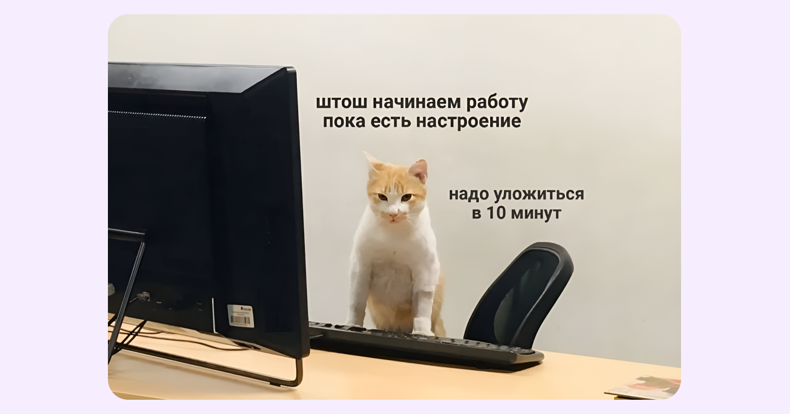 Мем с котом «штош начинаем работу пока есть настроение»