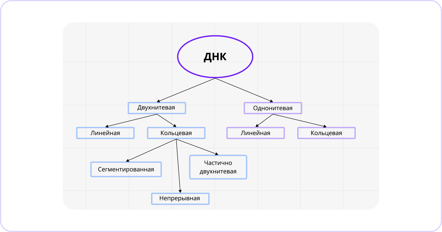 карта mind maps