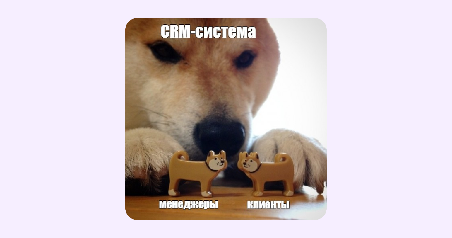 crm система помогает