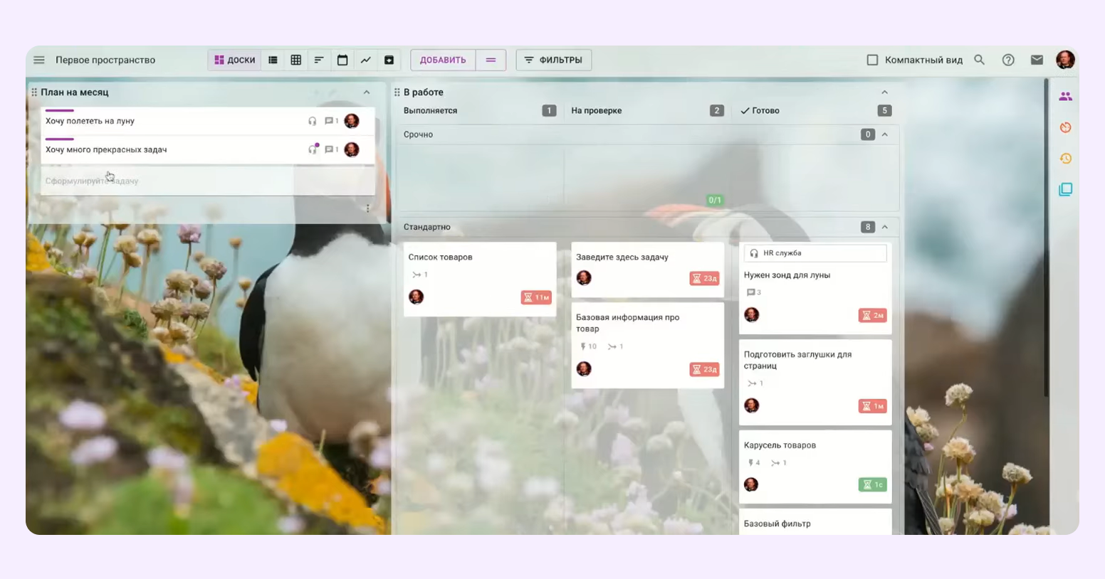 Scope проекта это