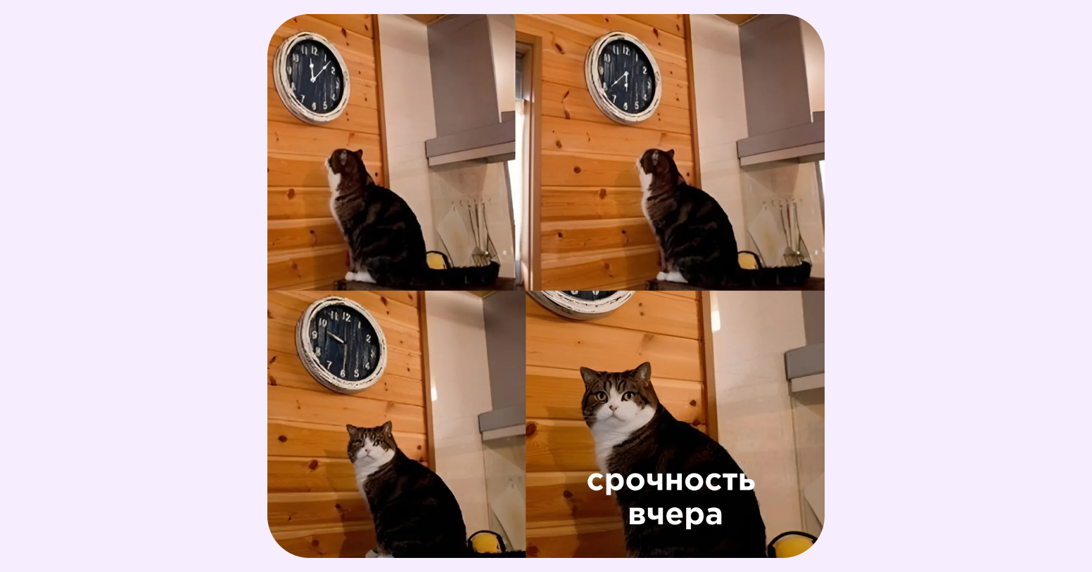 что такое модель кано