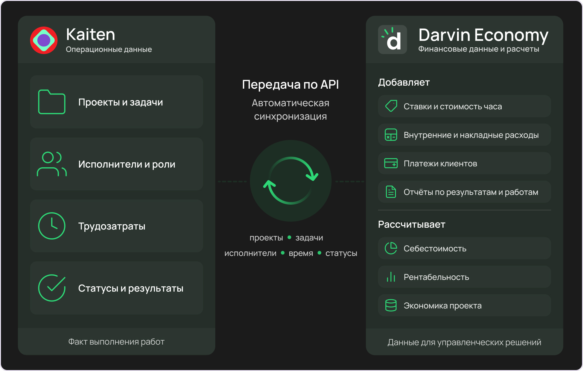 как связаны kaiten и darvin economy