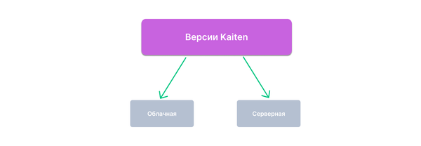 облако или сервер,облачная версия, коробочная версия, на свои сервера, на свой сервер, kaiten, кайтен, что лучше облако или сервер