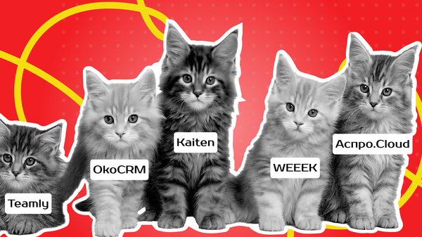 лучшая база знаний, лучшая база знаний в россии 